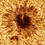 Sunspot Image from Inouye-Telescope-First-Sunspot-Image-777x777.jpg